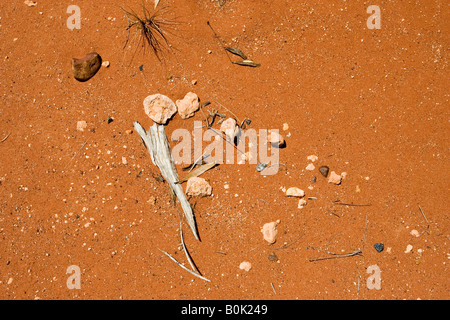 Stones bark and leaves in dirt at King s Canyon Northern Territory Australia Stock Photo