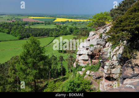 Sandstone rock outcrop on Grinshill Hill, North Shropshire England UK Stock Photo