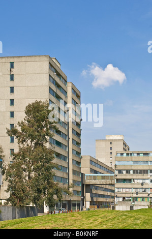 A view on the infamous Ferrier estate in Kidbrooke, London. Stock Photo