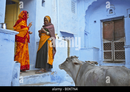 A sacred cow observing two women talking in Kishangarh, Thar Desert, Rajasthan, India Stock Photo
