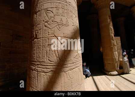 Engraved reliefs on a column at the Temple of Isis complex on the Island of Philae near Aswan Egypt Stock Photo