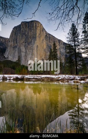 El Capitan reflected in the Merced River in Spring Yosemite Valley Yosemite National Park California