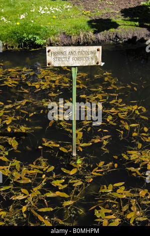 A sign stuck in a pond at the National Botanic Gardens, Glasnevin, Dublin Ireland saying No fishing or paddling allowed Stock Photo