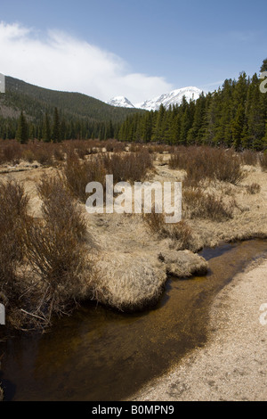 Small stream flows through grasslands showing a diverse ecosystem near Bierstadt Lake Rocky Mountain National Park Colorado USA