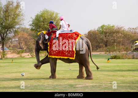 In this elephant polo match in Rajasthan India the elephant is kicking the ball before the player can hit it with his mallet. Stock Photo