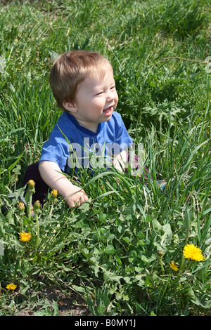 Child with the bouquet of dandelions in the hands Stock Photo