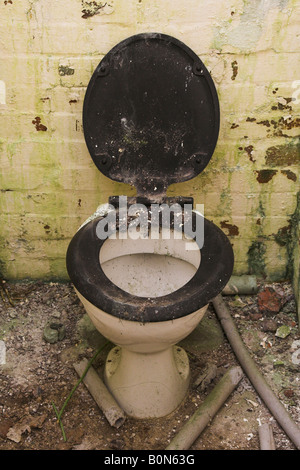 Old toilet in dilapidated lavatory building Stock Photo