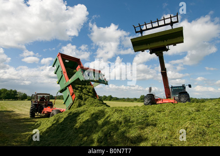 Silage collection - tractor, tipper trailer and grabber, sud-Touraine, France. Stock Photo