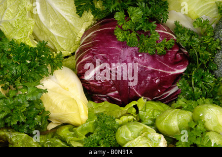 Fresh vegetables still life Stock Photo