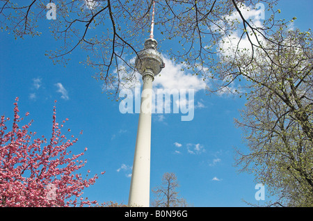 Television Tower Fernsehturm seen through trees Berlin Germany April 2008 Stock Photo