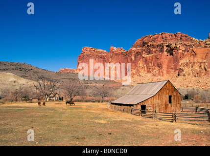 A view of the old Gifford Homestead an early Mormon farm in the Mormon settlement of Fruita in Capitol Reef National Park