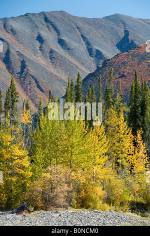 Dempster Highway, it begins in Dawson City, crosses the Arctic Circle and ends at the Beaufort Sea. Stock Photo