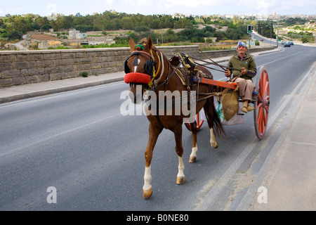 Maltese Horse Drawn farm cart, on the roads of Malta EU Stock Photo