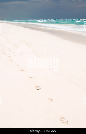 Deserted beach Tulum Mexico Stock Photo - Alamy