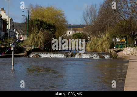 A stream runs down to the sea at Dawlish South Devon and is a haven for various water birds ...