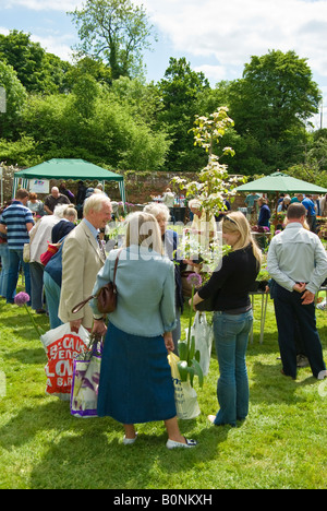A group of visitor discussing plants bought at a garden plant fair in Wiltshire England UK EU Stock Photo