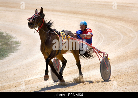 Cinder and sand racing at Marsa racetrack, Trotters, Horse-racing, Trot races at the Racing Club, Racecourse Street, Marsa, Malta. Stock Photo