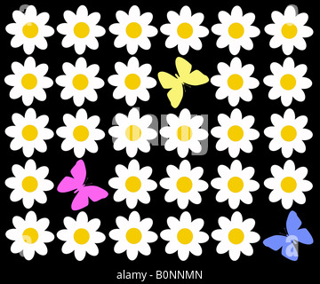 Daisies and butterflies on a black background illustration Stock Photo