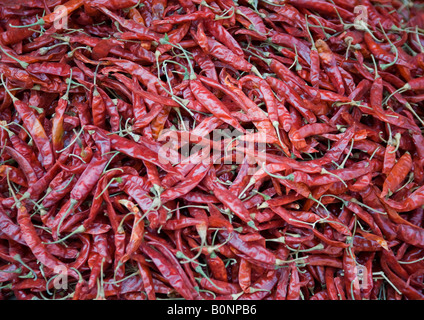 Red chillies with stems locally dried and sold in open market for use in home cooking as whole, crushed, or ground as a spice. Stock Photo