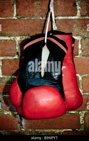 Vintage Boxing gloves hanging on a wall in a gym. Stock Photo