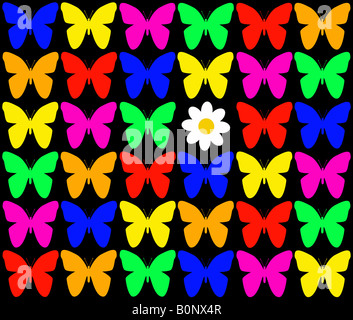 Daisy and butterflies on a black background illustration Stock Photo