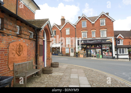 Town Hall and Pet Shop Haslemere High Street Surrey UK Stock Photo