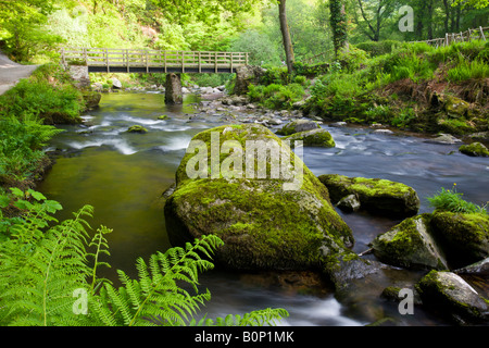 Spring at Watersmeet in Exmoor National Park Devon England Stock Photo