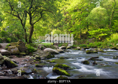 Spring at Watersmeet in Exmoor National Park Devon England Stock Photo