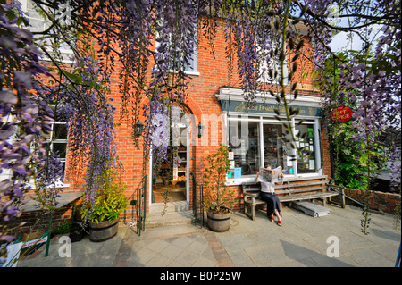Wisteria frames the entrance to the East Hoathly village stores and post office in East Sussex. Picture by Jim Holden. Stock Photo