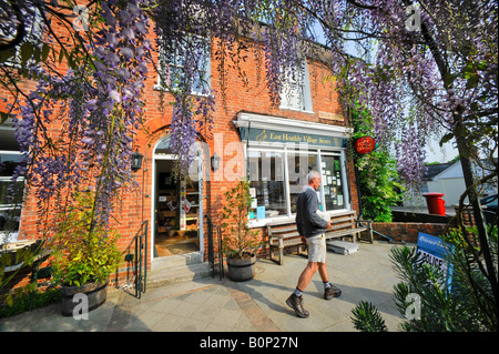 Wisteria frames the entrance to the East Hoathly village stores and post office in East Sussex. Picture by Jim Holden. Stock Photo