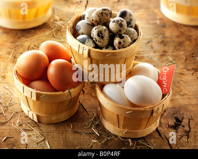 Organic Quail, Duck and Chicken eggs Stock Photo