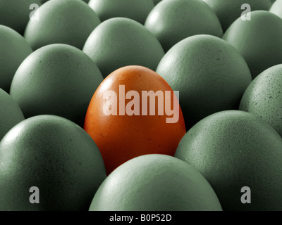 Close up of a grey eggs with one brown egg. Stock Photo