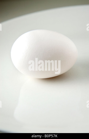 An uncracked egg on a white plate with narrow depth of field. Stock Photo
