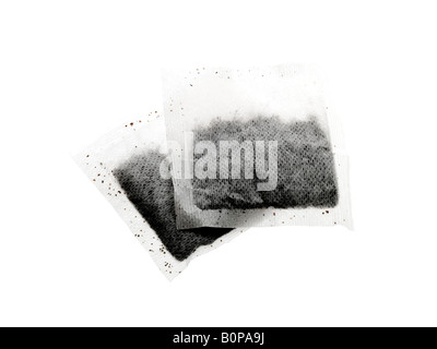 Branded PG Tips Tea Bags Isolated Against A White Background With A Clipping Path And No People Stock Photo