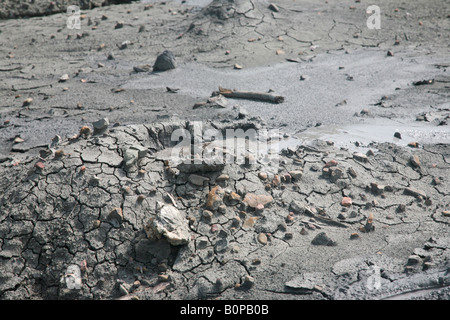 Mud volcano site at baratnag island, andman india Stock Photo