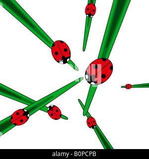 Ladybirds on grass illustration Stock Photo