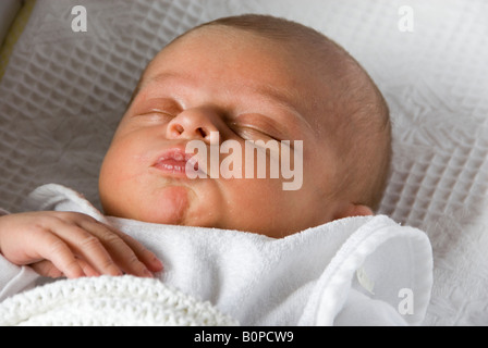 Sleeping Newborn Baby Boy Joshua Kailas Hudson Aged 20 days in White Blanket Stock Photo