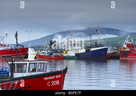 fishing boats in Dingle Harbour, County Kerry, Ireland Stock Photo