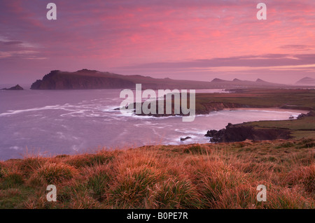 dawn at Clogher Head, looking towards Sybil Point and the Three Sisters, Dingle Peninsula, County Kerry, Ireland Stock Photo
