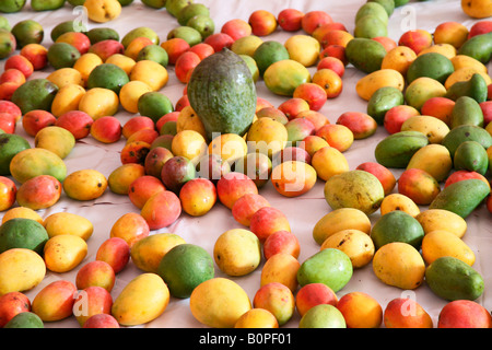 mangoes Stock Photo