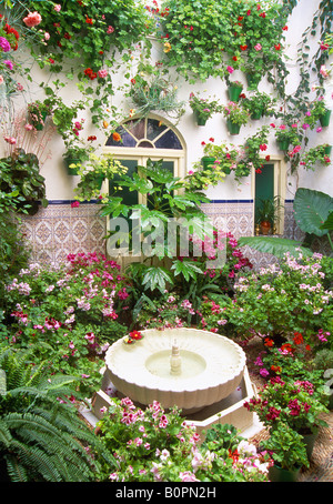 Typical flowered courtyard. Cordoba. Andalusia. Spain. Stock Photo