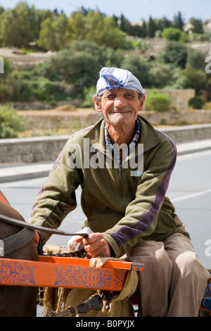 Maltese Man Stock Photo