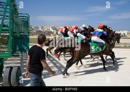 Cinder and sand racing at Marsa racetrack, Trotters, Horse-racing, Trot races at the Racing Club, Racecourse Street, Marsa, Malta. Stock Photo