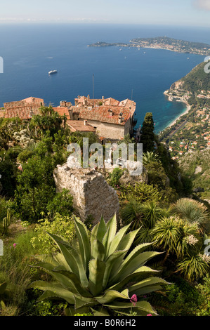 tropical, botanical garden in eze, south of france Stock Photo
