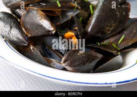 bowl of mussels, provence, france Stock Photo