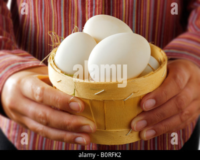 White duck eggs in a basket with women's hands Stock Photo