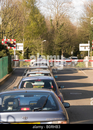 Cars wait at a railway level crossing barrier for a train to pass through the crossing. Stock Photo