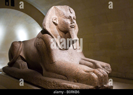 The Great Sphinx of Tanis welcomes visitors to the Department of Egyptian Antiquities in the Louvre Museum Paris France Stock Photo