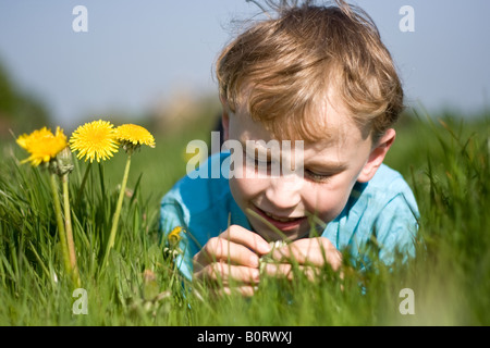 young blond boy lying in summer meadow Stock Photo