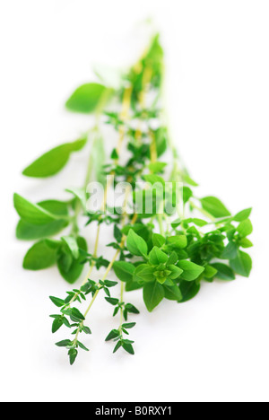 Bunch of fresh assorted herbs basil thyme oregano on white background Stock Photo